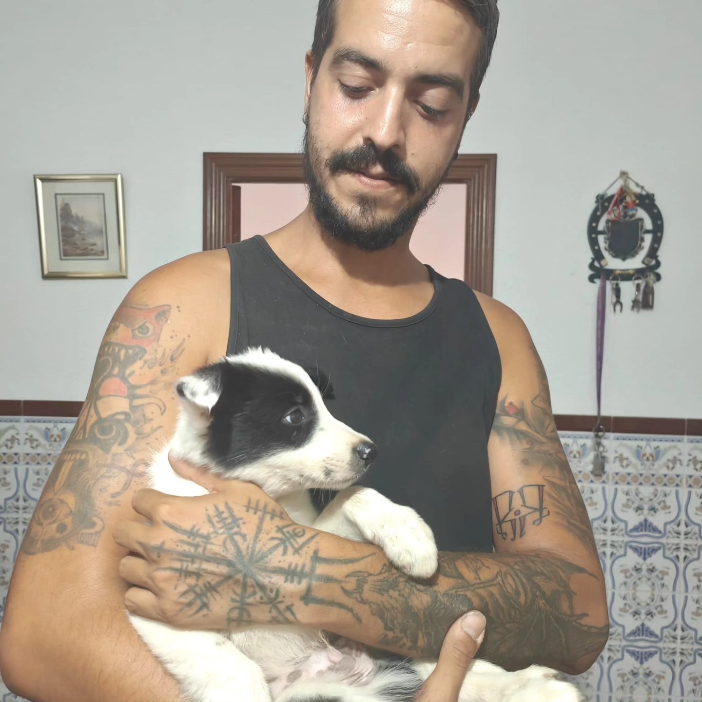 cachorro 10