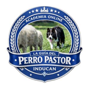 La guía del perro pastor